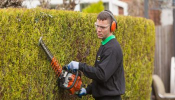 Hedge Cutting — Branching-Out Gloucestershire