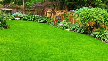 Landscaping — Branching-Out Gloucestershire